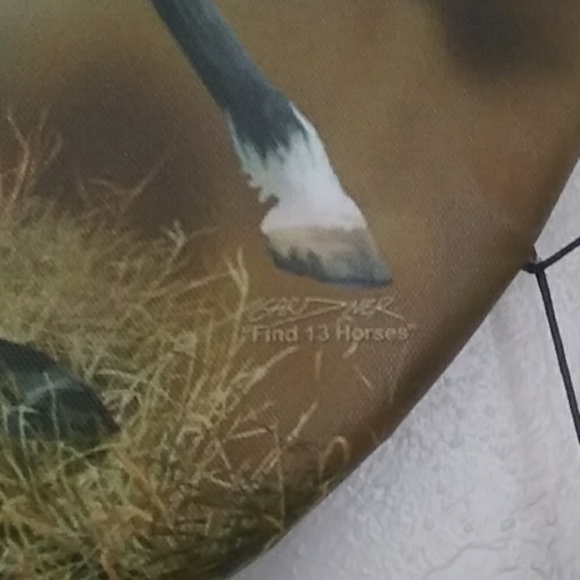 Find 13 Horses dream catcher - Picture 2 of 4